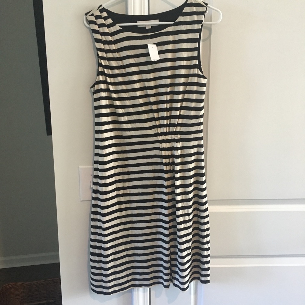 NWT LOFT DRESS